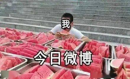 吃瓜被迫结婚,一段奇妙的婚姻故事