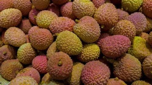吃荔枝的瓜,探寻夏日果香中的甜蜜诱惑
