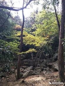 虞山森林吃瓜,探寻夏日消暑的“吃瓜”秘境