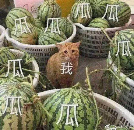 疯传吃瓜,揭秘网络热点的传播密码
