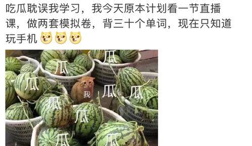疯传吃瓜,揭秘网络热点的传播密码