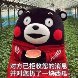 吃瓜聊天搞笑,那些让人捧腹的吃瓜趣事