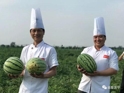 吃瓜大厨,揭秘美食背后的故事与传奇