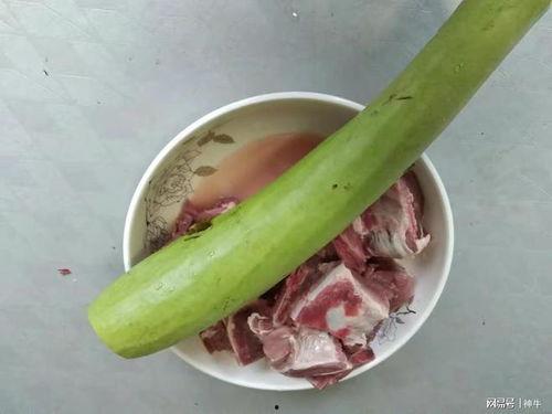 赤匏瓜可以吃吗,探究其可食用性及营养价值