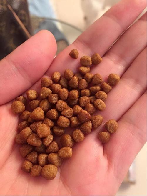 赤匏瓜可以吃吗,探究其可食用性及营养价值