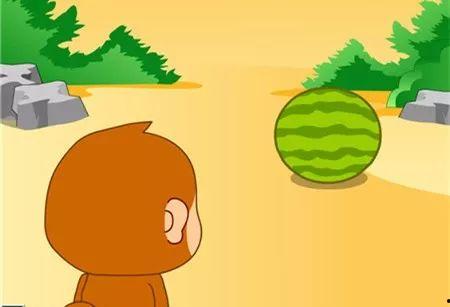 伸手瓜怎么吃,伸手瓜的多样食用指南