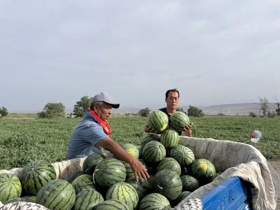 南宁二奢吃瓜,揭秘网红美食背后的吃瓜故事