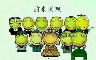 吃瓜群众群号,揭秘“吃瓜群众”群号背后的故事