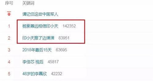 吃瓜刀小刀网址,网络红人背后的故事与影响力