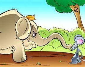 妈咪小老鼠吃瓜,妈咪小老鼠的甜蜜瓜果时光