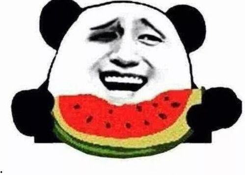 加菲哥吃瓜,一场美食与智慧的较量