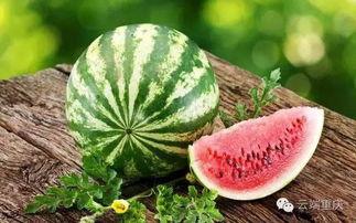 手捧瓜怎么吃,瓜类美食品鉴指南