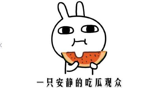 吃瓜都啥意思,网络热词背后的社会现象