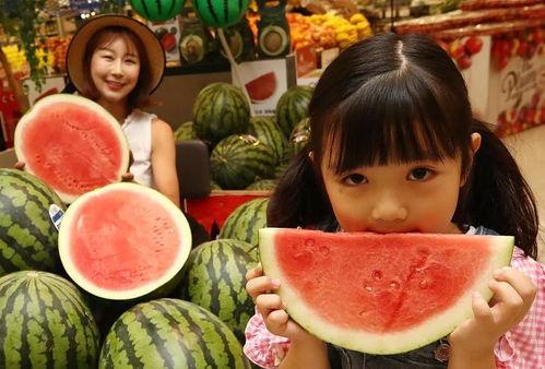 轻轻在吃瓜,品味生活百态