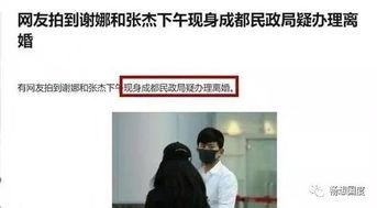 民政局吃瓜视频在线观看,揭秘民政内部趣闻轶事