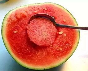 大学生doi吃瓜,揭秘大学生“DOI吃瓜”现象背后的故事