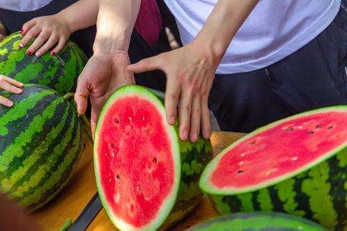 学校吃瓜的地方,揭秘校园里的秘密角落