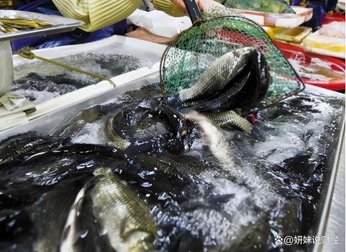 仙桃鱼老板吃瓜,一场意外的美食狂欢