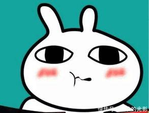 吃瓜视频丢了,揭秘背后真相