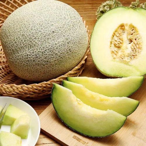大logo吃静冈蜜瓜,静冈蜜瓜的甜蜜诱惑