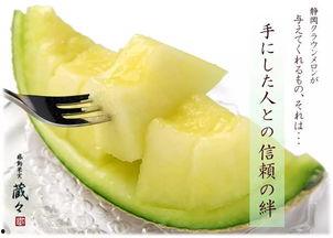 大logo吃静冈蜜瓜,静冈蜜瓜的甜蜜诱惑