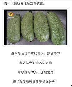 吃白瓜搞笑视频,白瓜美食大作战，搞笑视频带你领略瓜界欢乐