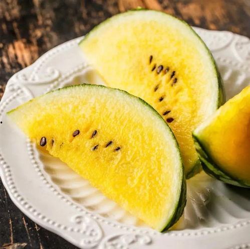 天马吃瓜全文阅读,一场奇幻冒险的瓜界传奇