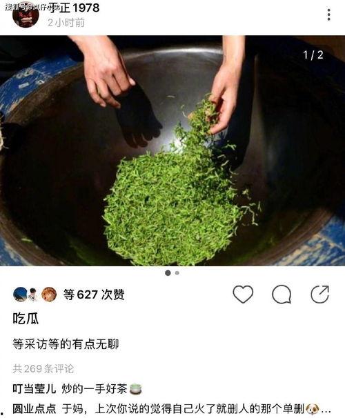 继续吃瓜喝茶,继续吃瓜喝茶，品味生活百态