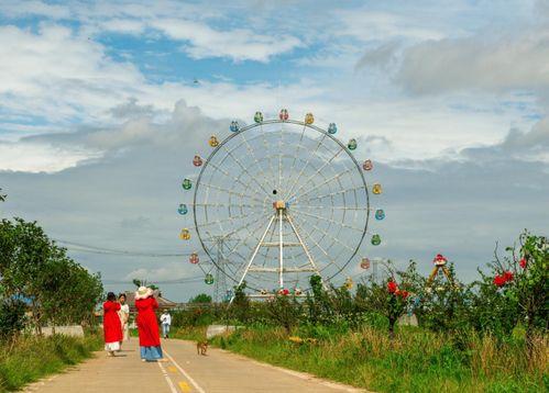我在花田里吃瓜,一场别开生面的夏日美食之旅