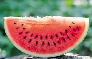 蓝牙吃瓜曲君落,揭秘蓝牙音乐新潮流