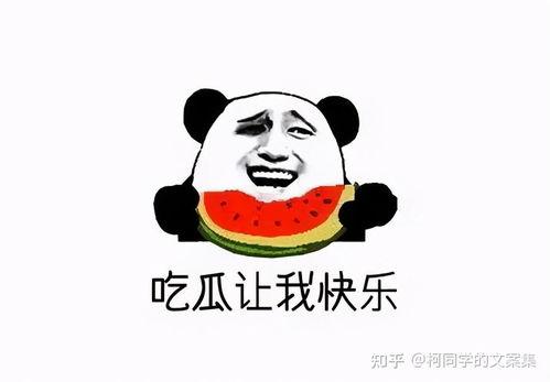 搞笑吃瓜回复文案短句,吃瓜群众欢乐多