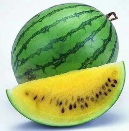 离石上安吃瓜,一场别开生面的吃瓜盛宴