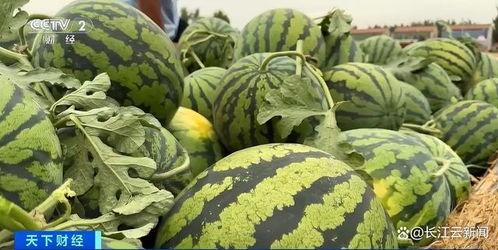 离石上安吃瓜,一场别开生面的吃瓜盛宴