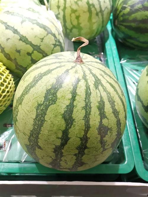 怎样吃大瓜,大瓜的正确食用指南