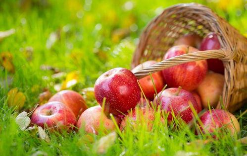 吃瓜塞苹果,趣味生活小窍门大揭秘