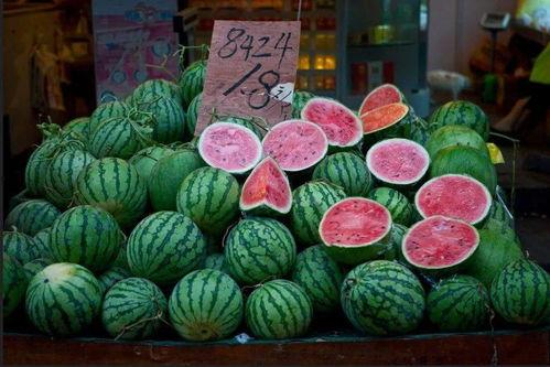 沿江吃瓜,品味瓜果飘香之旅