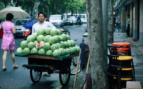 沿江吃瓜,品味瓜果飘香之旅