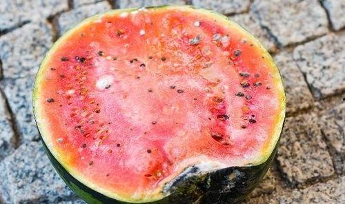 无害吃瓜,轻松享受夏日清凉的秘诀