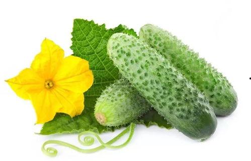 重生自带吃瓜系统,穿越时空的美食盛宴