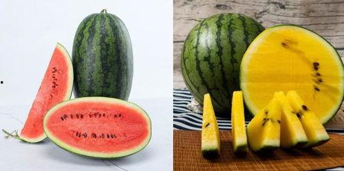 迪丽吃瓜,揭秘娱乐圈的甜蜜与苦涩