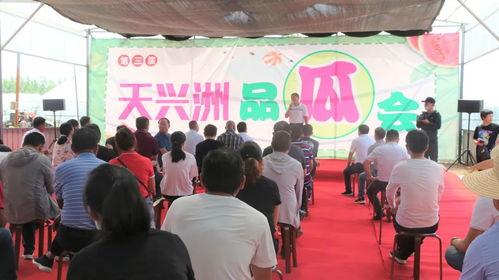 天兴洲吃瓜大会,一场盛大的吃瓜狂欢盛宴