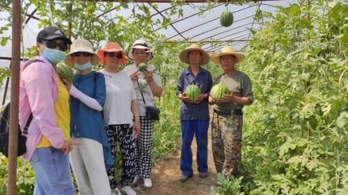 天兴洲吃瓜大会,一场盛大的吃瓜狂欢盛宴