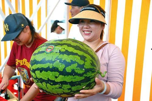 吃瓜大王在线吃瓜,吃瓜大王带你领略网络吃瓜文化盛宴