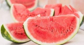 吃瓜大王在线吃瓜,吃瓜大王带你领略网络吃瓜文化盛宴