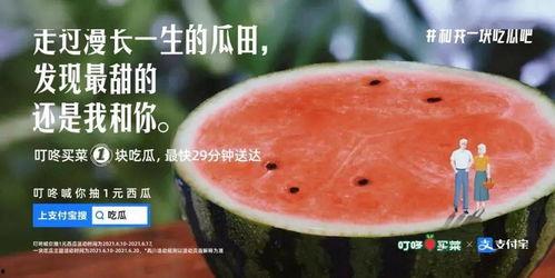 到瓜田吃瓜,一场说走就走的夏日吃瓜之旅