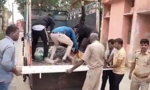 吃瓜至人死亡事件,一场网络热议引发的悲剧