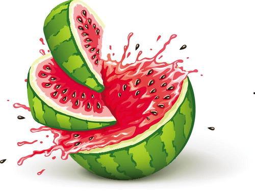 吃瓜也欢乐全集,揭秘娱乐圈幕后故事