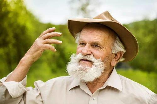 70老人吃瓜视频,笑料百出，温馨感人瞬间