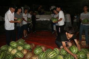 曹县比赛吃瓜视频,一场视觉与味觉的双重盛宴