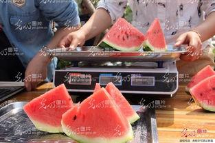 曹县比赛吃瓜视频,一场视觉与味觉的双重盛宴